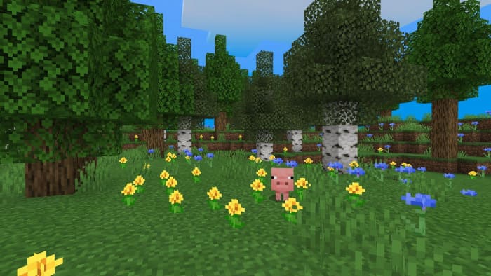 Flower field in Minecraft