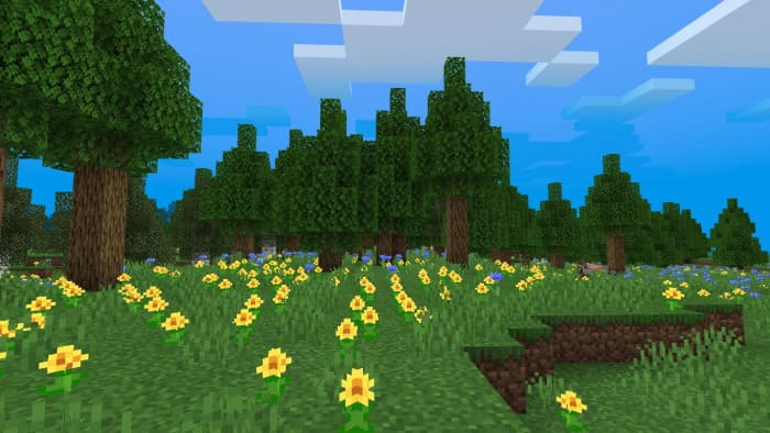 Meadow in Minecraft