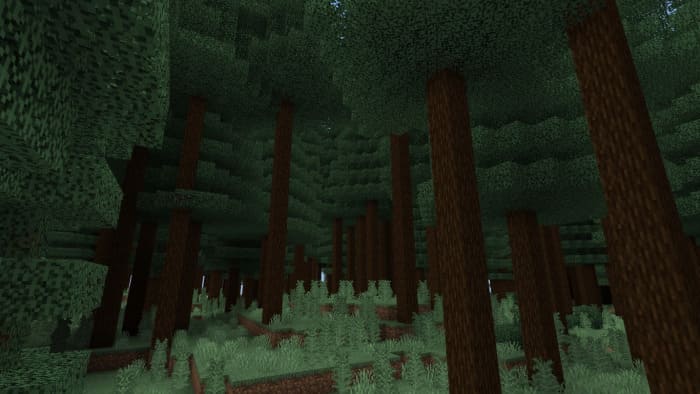 Northern Forest in Minecraft