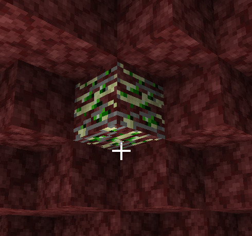 New ore in Nether