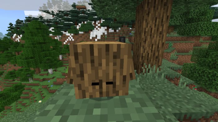 Oak block pet in Minecraft