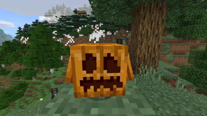 Pumpkin block pet in Minecraft