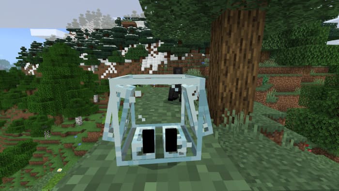 Glass block pet in Minecraft