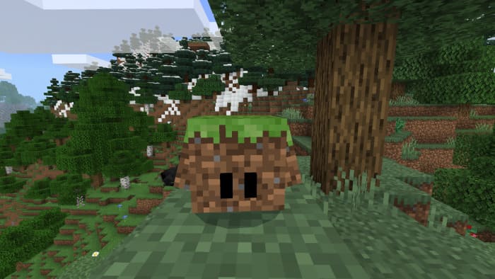 Mud block pet in Minecraft