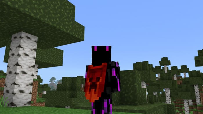 Minecon 2011 cape