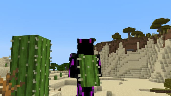 Cactus cape