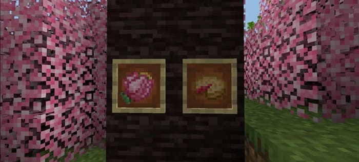 Items in the sakura Forest