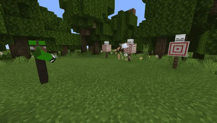 Shot from a kritolver in Minecraft