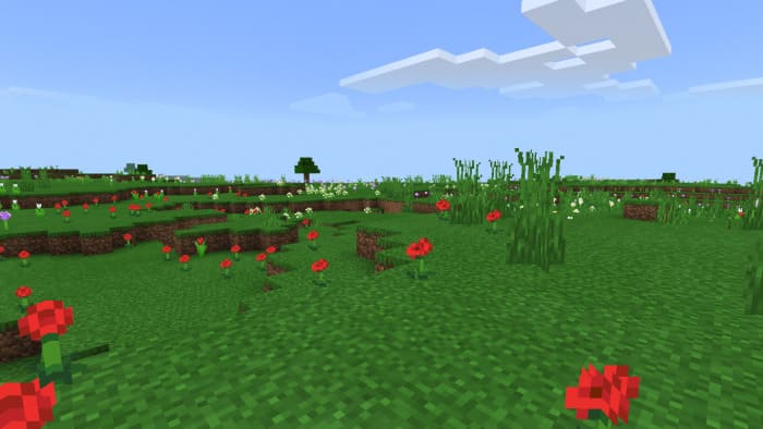 Flower plains