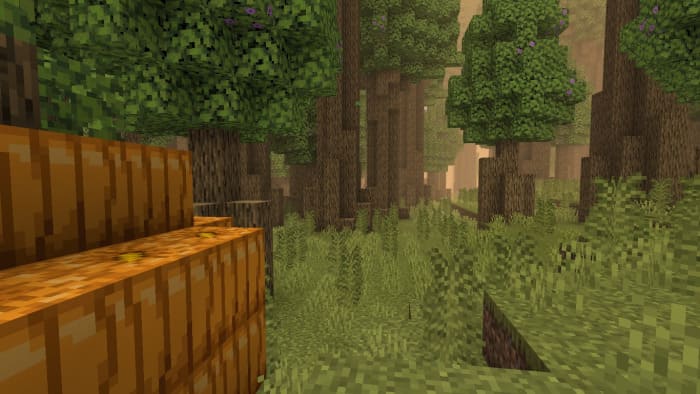 Temperate forest in Minecraft