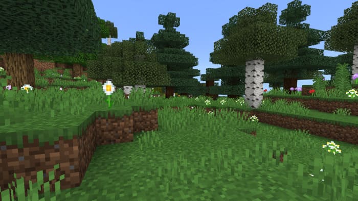 Biome of various trees in Minecraft