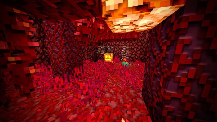 View of the blocks in the Nether World