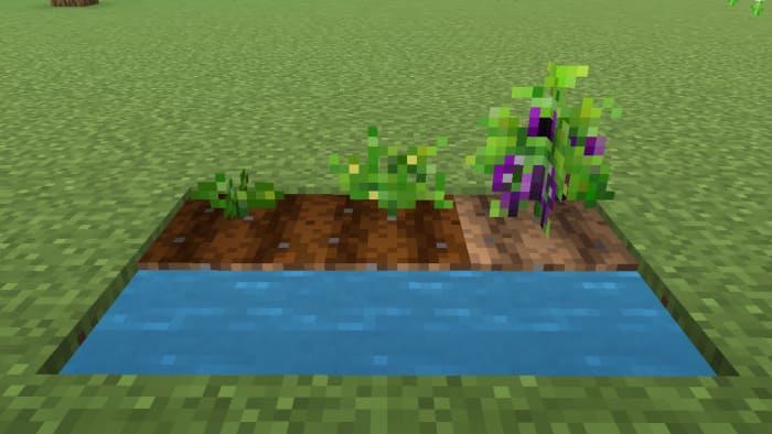 Eggplant in Minecraft