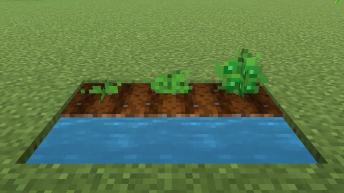 Cucumbers in Minecraft