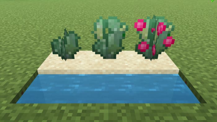 Prickly pear in Minecraft