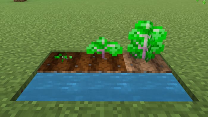 Spinach in Minecraft