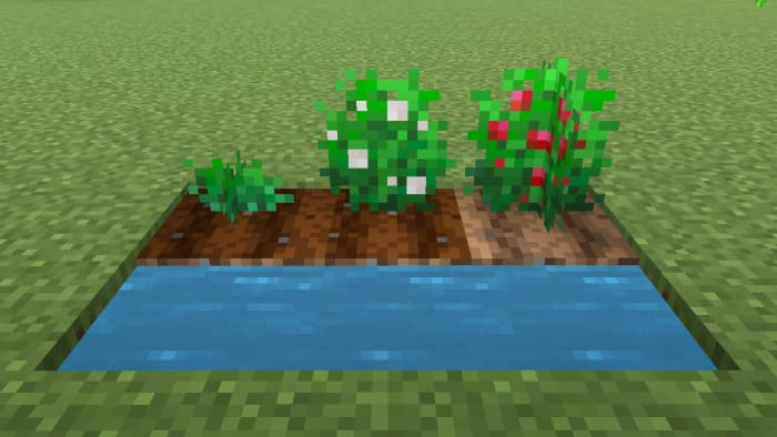 Strawberries in Minecraft