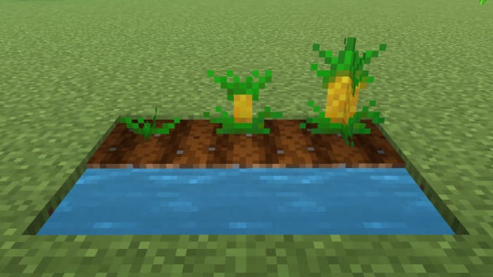 Pineapple in Minecraft
