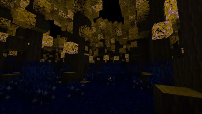 Biome of the Night Forest in Minecraft