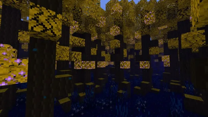 Biome of the Night Forest
