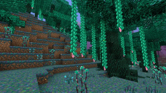 Biome Forest of fog in Minecraft