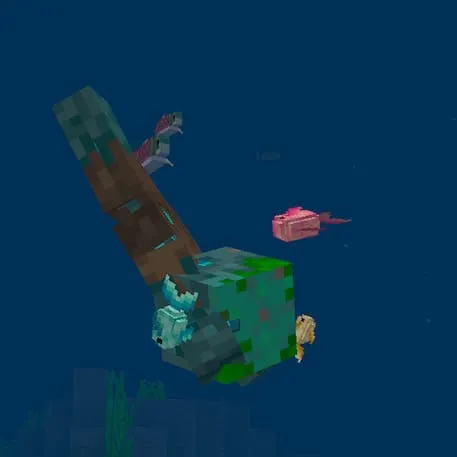 Drowned man with a hat