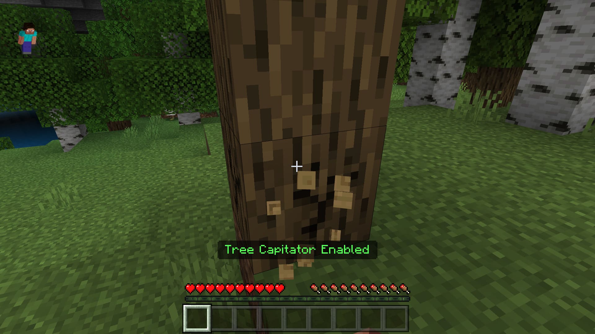 Tree Capitator mod in Minecraft