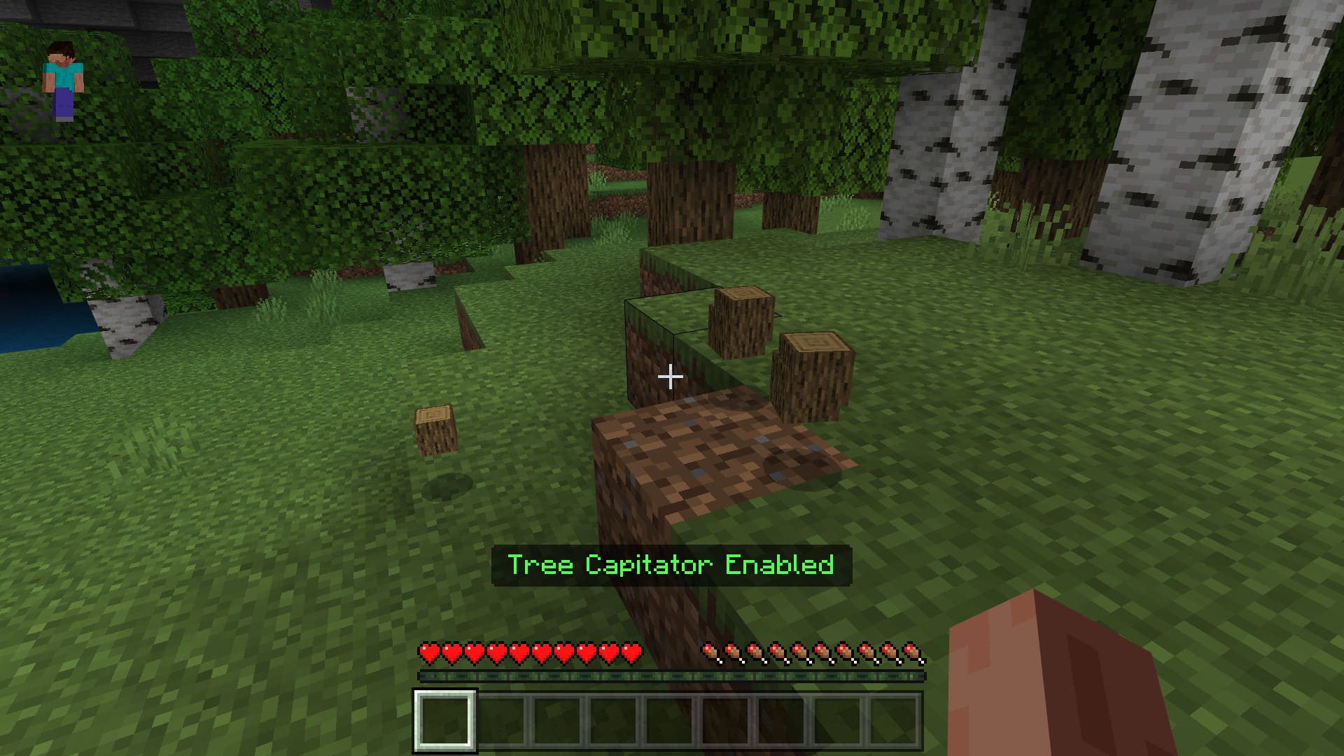 Break the whole tree in Minecraft