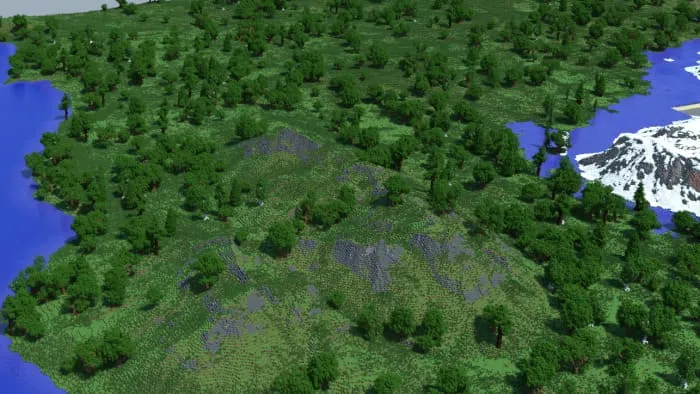 View of the forests from above