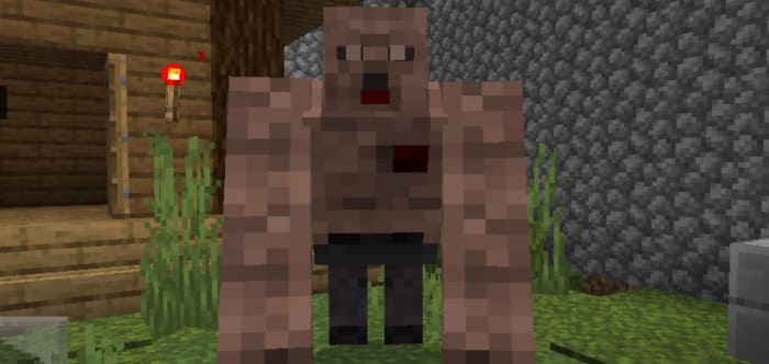 Tank in Minecraft