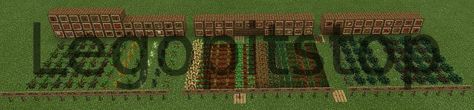 New seedlings with food in Minecraft