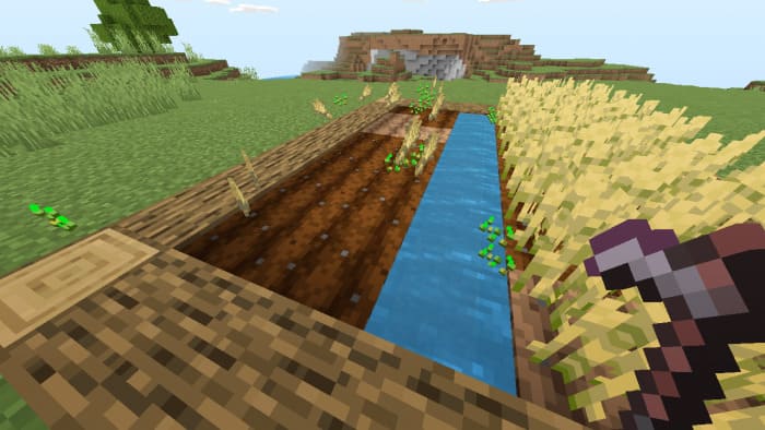 Fast farming in Minecraft