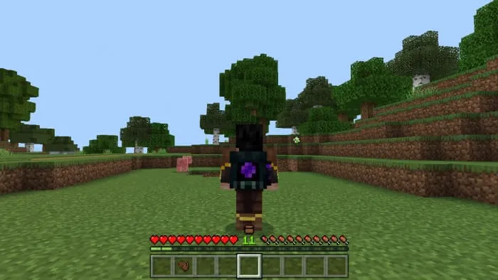 View of the End backpack on the player's back