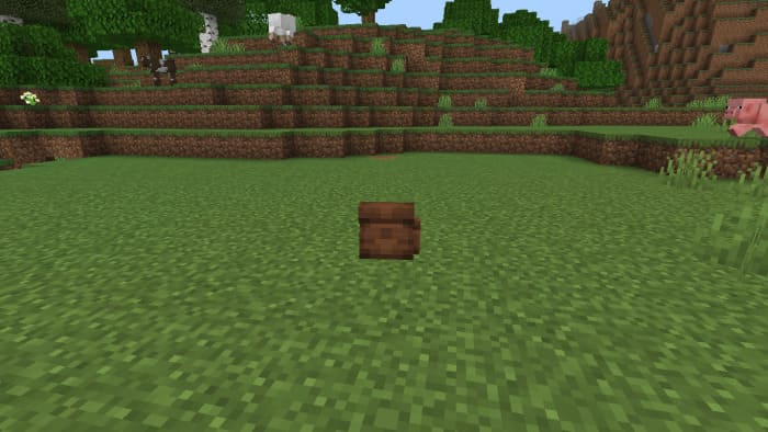 An ordinary backpack in Minecraft