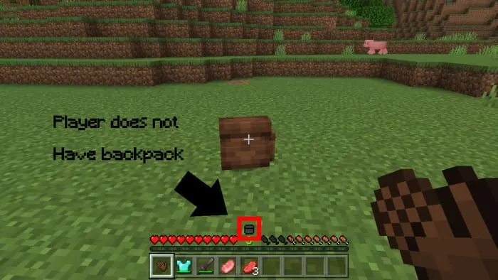 The icon of the absence of a backpack on the player