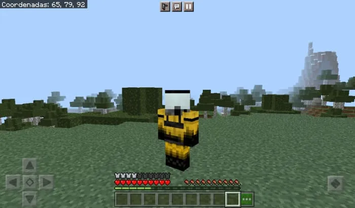 Anti-radiation suit in Minecraft