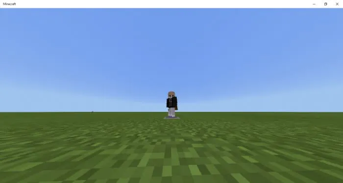 The player spawned in the superplane world