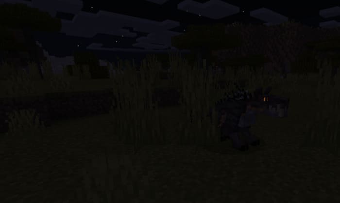 Chupacabra at night in the biome