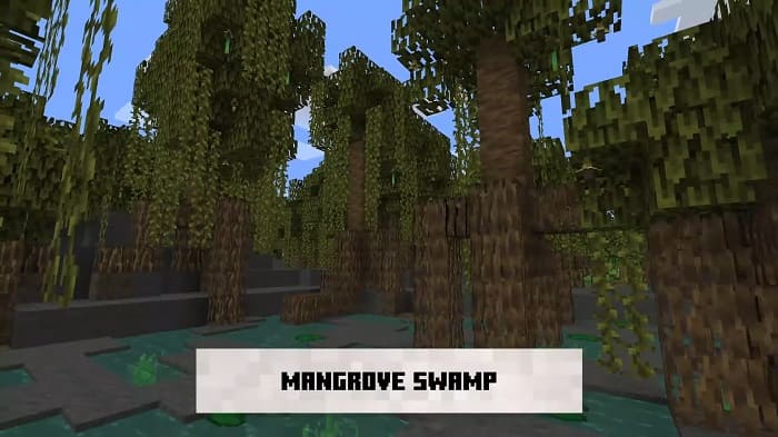 Mangrove swamp biome