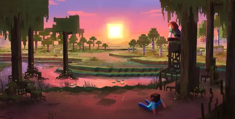 Sunset in mangrove swamps