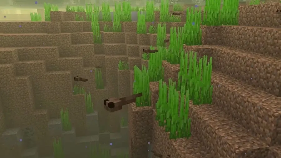 Tadpoles in the waters Minecraft