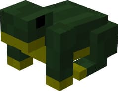 Frog view in Minecraft