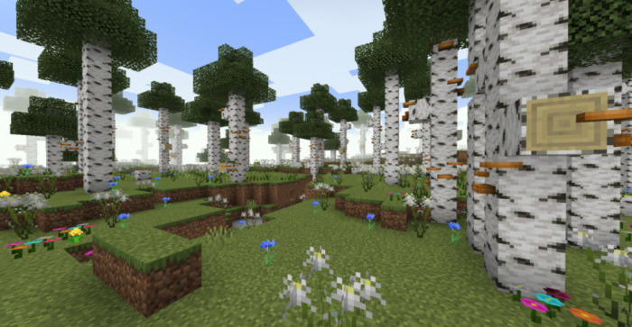 Beautiful birches in Minecraft