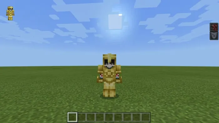 Type of desert armor