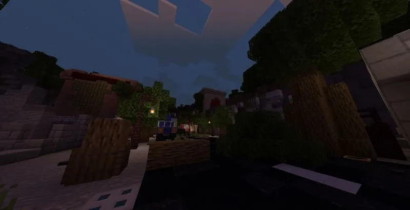 City of Raccoon City