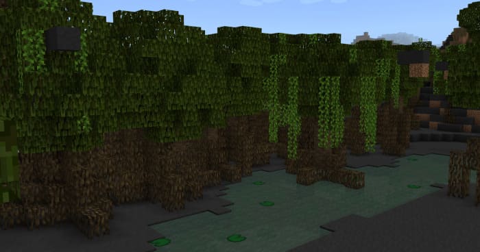 Screenshot of the mangrove swamp biome in Minecraft