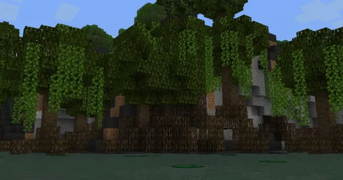 View of the new swamp