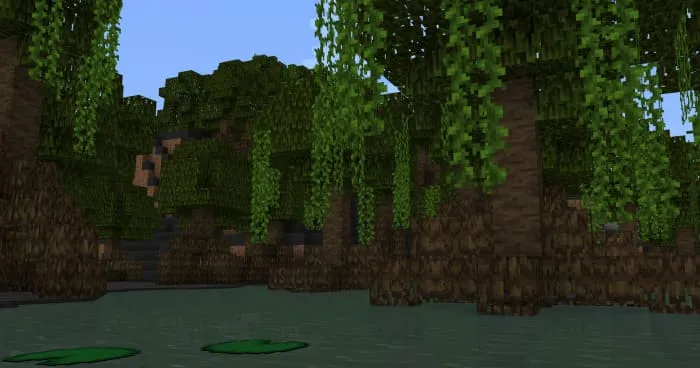 Mangrove trees in swamp