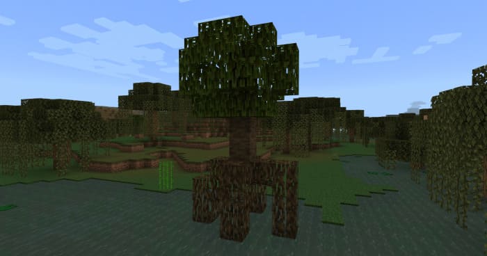 Скриншот мангрового дерева