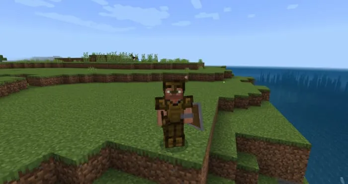 Front view of wooden armor